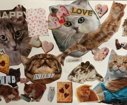 Cat Love Photomontage
